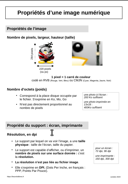 Image numérique : pixel, octet, couleur, format, poids, taille, résolution